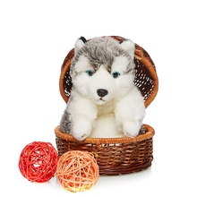 ����� �������